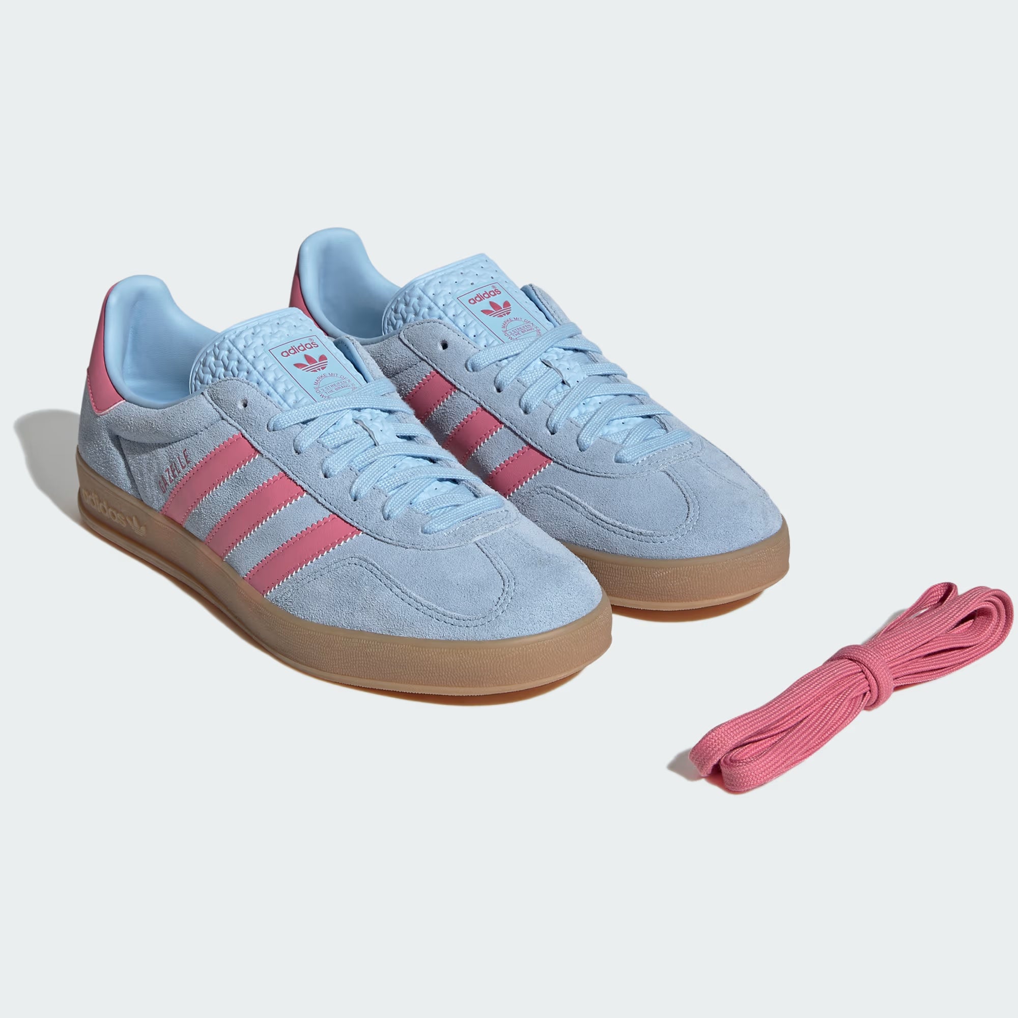 Gazelle Indoor